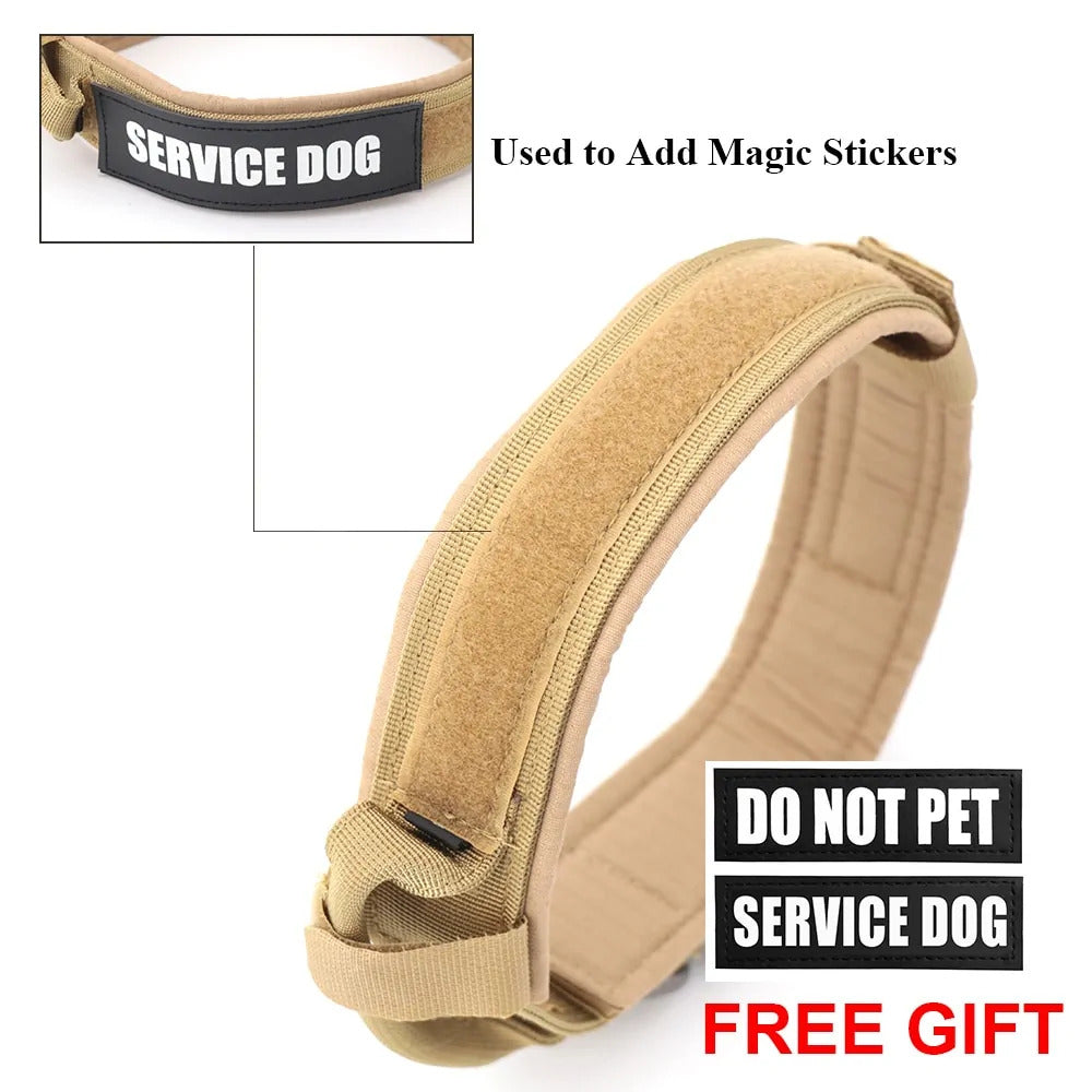 Dog Collar Dog Collar